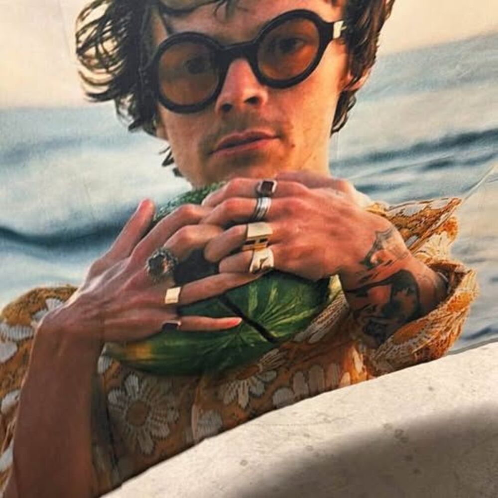 HUGE Harry Styles Watermelon Sugar Fabric Poster Tapestry